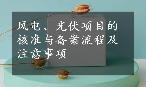 风电、光伏项目的核准与备案流程及注意事项