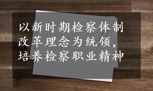 以新时期检察体制改革理念为统领，培养检察职业精神