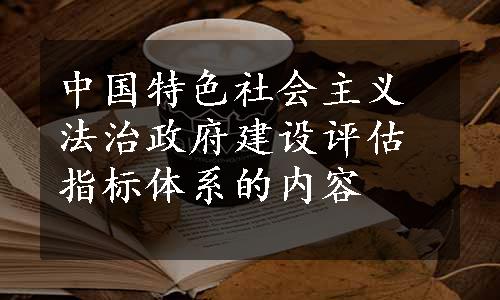 中国特色社会主义法治政府建设评估指标体系的内容