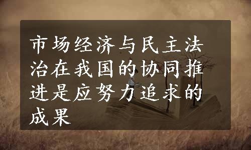 市场经济与民主法治在我国的协同推进是应努力追求的成果