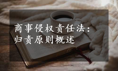 商事侵权责任法：归责原则概述