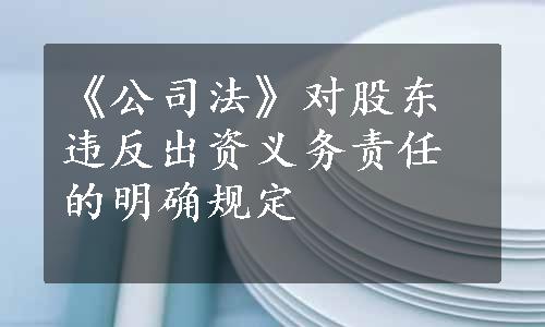 《公司法》对股东违反出资义务责任的明确规定