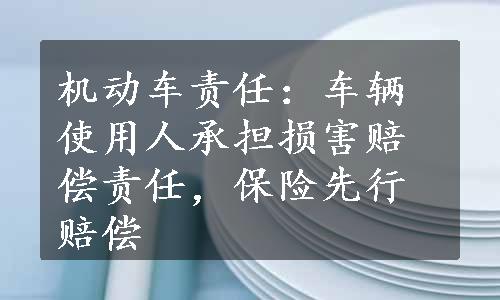 机动车责任：车辆使用人承担损害赔偿责任，保险先行赔偿