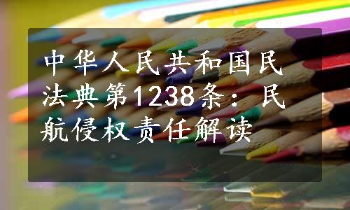 中华人民共和国民法典第1238条：民航侵权责任解读