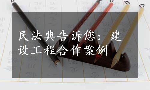 民法典告诉您：建设工程合作案例