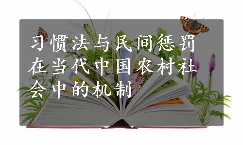 习惯法与民间惩罚在当代中国农村社会中的机制