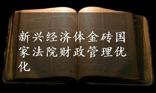 新兴经济体金砖国家法院财政管理优化