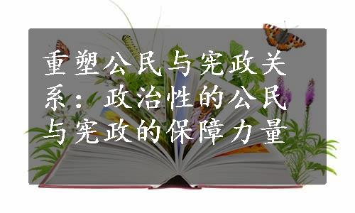 重塑公民与宪政关系：政治性的公民与宪政的保障力量