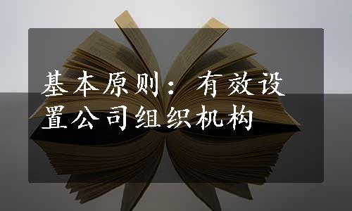 基本原则：有效设置公司组织机构