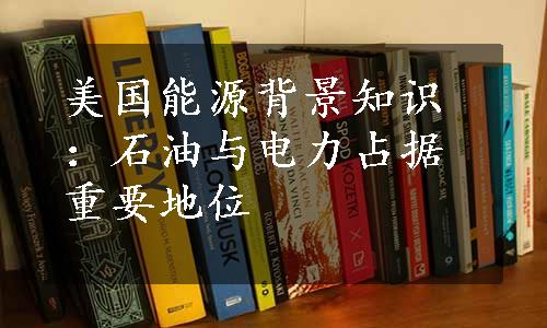 美国能源背景知识：石油与电力占据重要地位