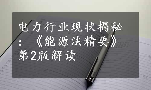 电力行业现状揭秘：《能源法精要》第2版解读