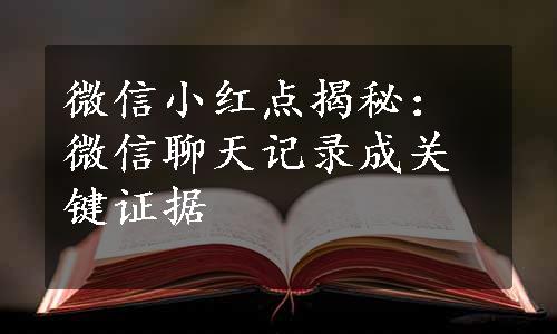 微信小红点揭秘：微信聊天记录成关键证据