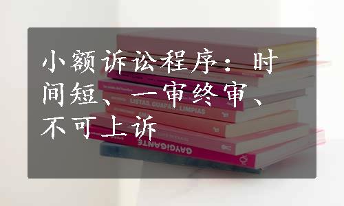 小额诉讼程序：时间短、一审终审、不可上诉