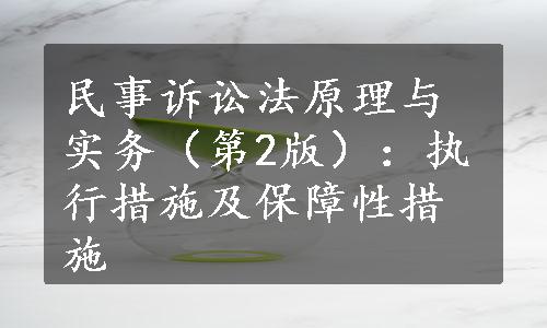 民事诉讼法原理与实务（第2版）：执行措施及保障性措施