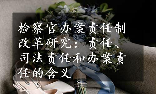 检察官办案责任制改革研究：责任、司法责任和办案责任的含义