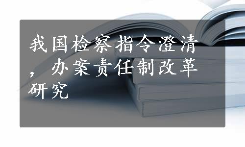 我国检察指令澄清，办案责任制改革研究