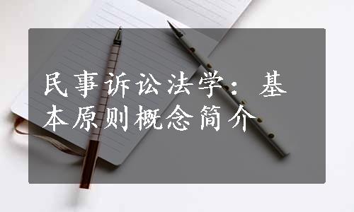 民事诉讼法学：基本原则概念简介