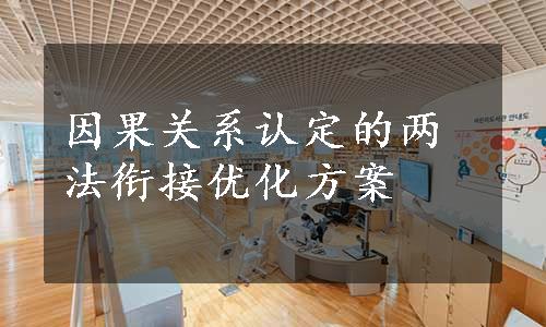 因果关系认定的两法衔接优化方案