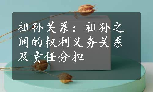 祖孙关系：祖孙之间的权利义务关系及责任分担