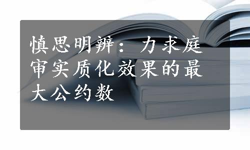 慎思明辨：力求庭审实质化效果的最大公约数