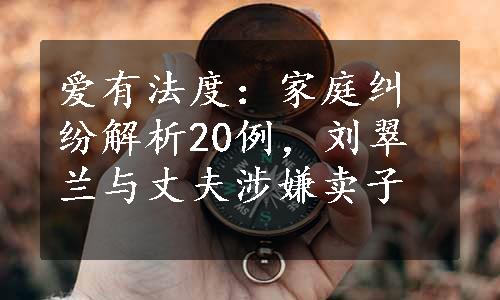 爱有法度：家庭纠纷解析20例，刘翠兰与丈夫涉嫌卖子