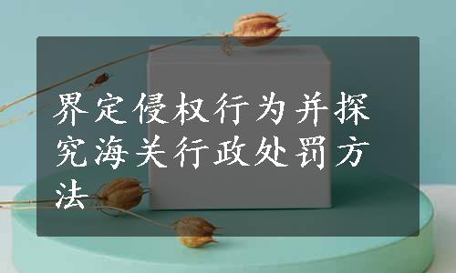 界定侵权行为并探究海关行政处罚方法