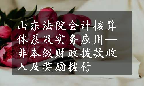 山东法院会计核算体系及实务应用—非本级财政拨款收入及奖励拨付