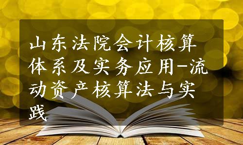 山东法院会计核算体系及实务应用-流动资产核算法与实践