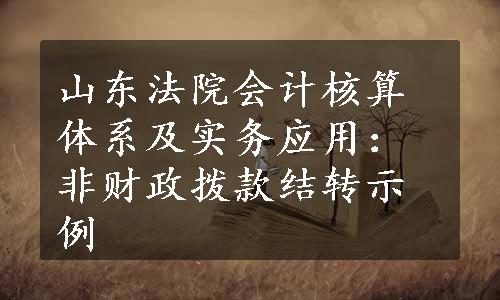 山东法院会计核算体系及实务应用：非财政拨款结转示例