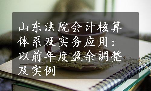 山东法院会计核算体系及实务应用：以前年度盈余调整及实例