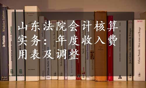 山东法院会计核算实务：年度收入费用表及调整