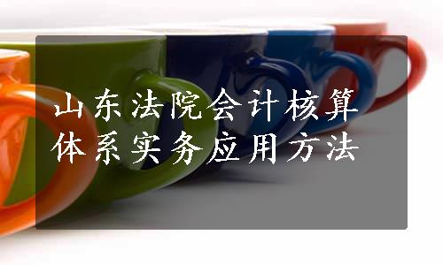 山东法院会计核算体系实务应用方法