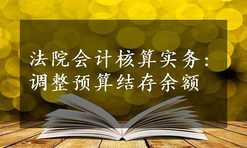 法院会计核算实务:调整预算结存余额