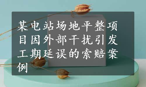 某电站场地平整项目因外部干扰引发工期延误的索赔案例