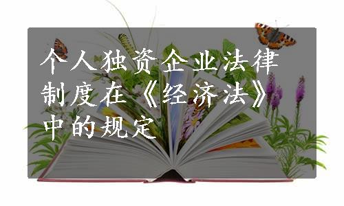 个人独资企业法律制度在《经济法》中的规定