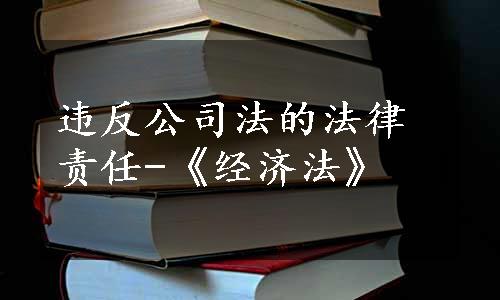 违反公司法的法律责任-《经济法》