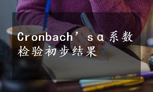 Cronbach’sα系数检验初步结果