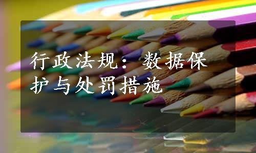 行政法规：数据保护与处罚措施