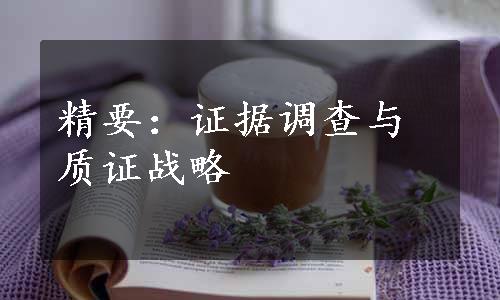 精要：证据调查与质证战略