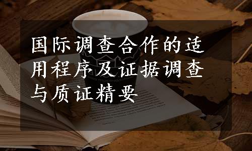 国际调查合作的适用程序及证据调查与质证精要