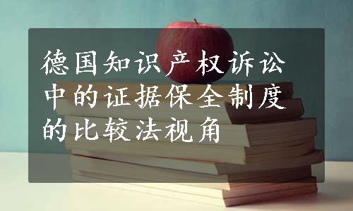 德国知识产权诉讼中的证据保全制度的比较法视角