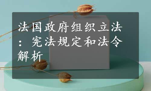 法国政府组织立法：宪法规定和法令解析