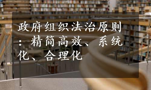 政府组织法治原则：精简高效、系统化、合理化