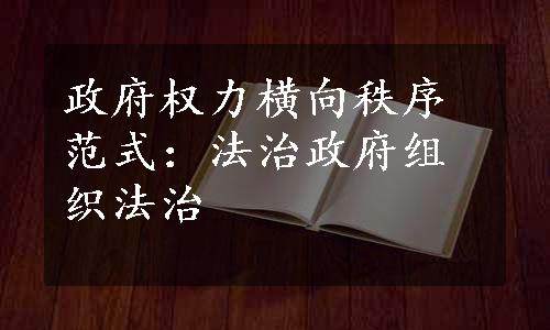 政府权力横向秩序范式：法治政府组织法治