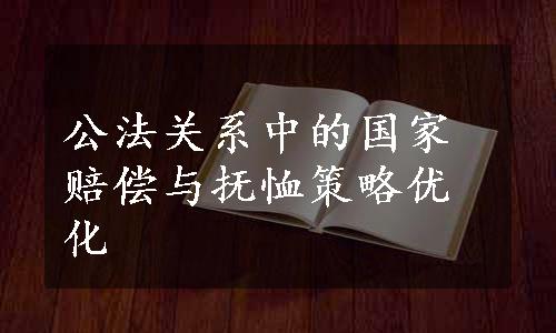 公法关系中的国家赔偿与抚恤策略优化