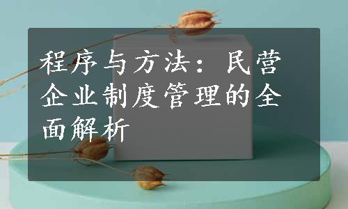 程序与方法：民营企业制度管理的全面解析