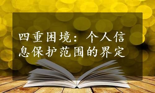 四重困境：个人信息保护范围的界定