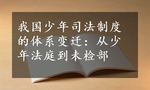 我国少年司法制度的体系变迁：从少年法庭到未检部