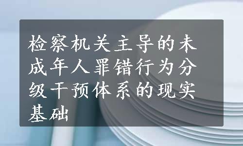 检察机关主导的未成年人罪错行为分级干预体系的现实基础