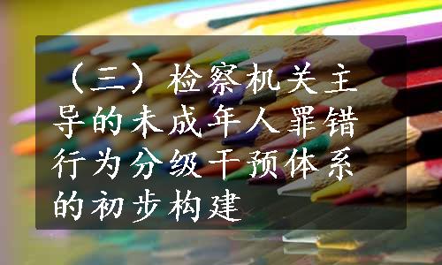 （三）检察机关主导的未成年人罪错行为分级干预体系的初步构建